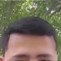 , 37, 