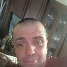 , 41, 