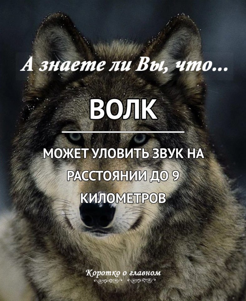 � ������ �� ��, ���...
