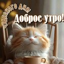 ���� ����� �������, ������, 59 ��� - ��������� 14 ������� 2024 � ������ ���� ����������