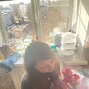 ���� �����, ������, 22 ���� - ��������� 31 ����� 2026 � ������ ���� ����������