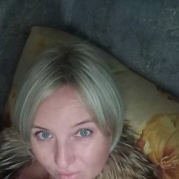 ���� ��������, ����������� - ��������� 14 ������� 2026