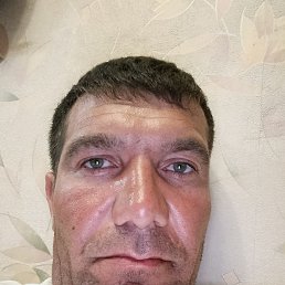����, 40 ���, ���