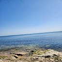 ���� �������, ��������, 46 ��� - ��������� 19 ������ 2024 � ������ ���� ����������