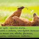 ���� ��������, ������, 60 ��� - ��������� 29 ��� 2024 � ������ ���� ����������