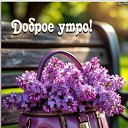 ���� �����, �����-���������, 74 ���� - ��������� 29 ��� 2026 � ������ ������ ��������