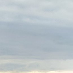 ������, �������, 51 ���