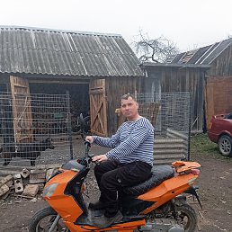 , 42, 