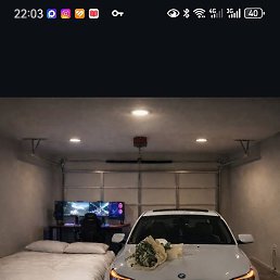 ��������, ����������, 24 ����