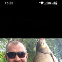 ���� �����, ������, 42 ���� - ��������� 31 ������ 2026