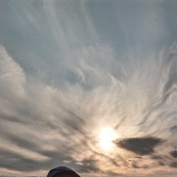 ������, 41 ���, ����������