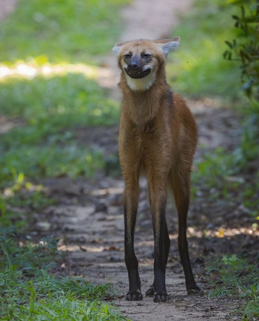 ��������� ���� �������� ���, ����� ��� ��������� � ��������� ������. ������� ����, ����� ������ � ... - 3