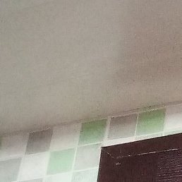 �����, ������, 46 ���