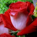 ���� �����, ������ - ��������� 22 ���� 2025 � ������ ������ ��������
