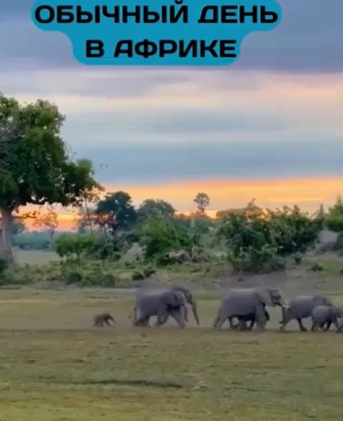    ,       ,    .   ... - 2