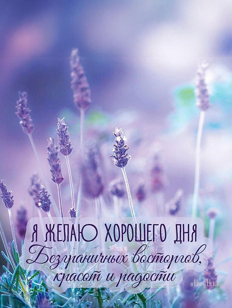   ,    . - 6  2025  14:02