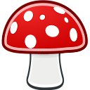 ���� ����, ���������, 51 ��� - ��������� 7 ������ 2025 � ������ ���� ����������