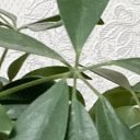 ���� �������, ������, 51 ��� - ��������� 30 ������ 2024 � ������ ���� ����������