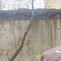 ������, ������, 45 ���