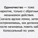 ���� �������, ����������� - ��������� 13 ������� 2025 � ������ ���� ����������