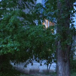 ���� Aleksandr, �������, 44 ���� - ��������� 1 ��� 2025