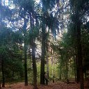 ���� ������, ���������� �����, 43 ���� - ��������� 27 �������� 2025