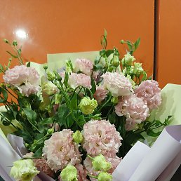 ���� ������, �����, 45 ��� - ��������� 27 ������� 2025