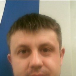 ���� �����, ����-���, 44 ���� - ��������� 10 ������ 2024