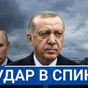 ���� �������, ������, 77 ��� - ��������� 20 ������� 2026 � ������ ������ ��������