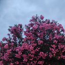  , - -  3  2025   , ,  2025