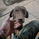 ���� ������, �������, 36 ��� - ��������� 24 ������� 2023 � ������ ���� ����������