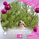 ���� ����, ������������, 44 ���� - ��������� 6 ����� 2025 � ������ ���� ����������