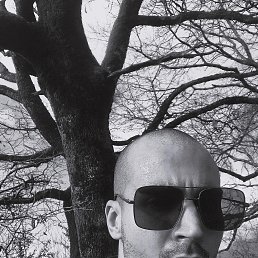 ������, 29 ���, ����