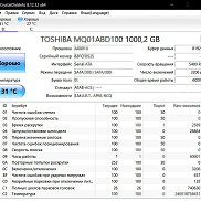 ������, 29 ���, ������