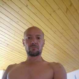 , 51, 
