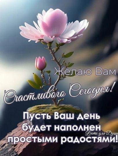 ��� ���� - 19 ���� 2025 � 20:39