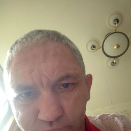 ����, ���������� �����, 46 ���