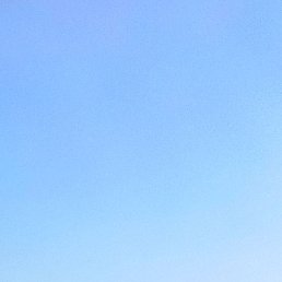 �����, 37 ���, �������