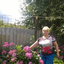 , 57, 