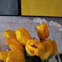 ���� �������, ������ ��������, 66 ��� - ��������� 5 ������ 2026 � ������ ������� 2026 ���