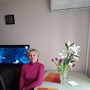 ���� ��������, ������, 49 ��� - ��������� 13 ����� 2026 � ������ ���� ����������