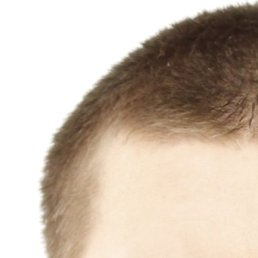 �������, ������, 26 ���