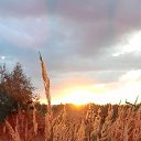 ���� ��������, ������, 60 ��� - ��������� 5 ������ 2023 � ������ ���� ����������