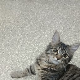 ���� ��������, ���������� �����, 54 ���� - ��������� 8 ������ 2024