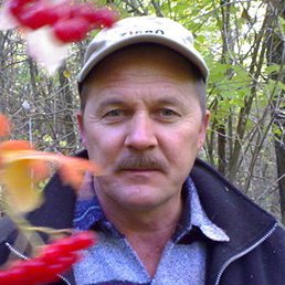 ������, ������, 63 ����