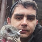 ����� ��������, 32 ����, ����