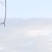 �������, 61 ���, ������