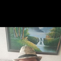 �����, 41 ���, ������