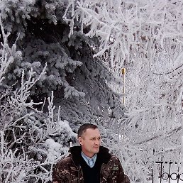 �������, ������, 51 ���