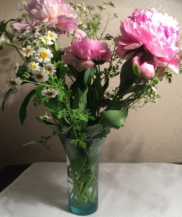   .   .    ,  .   ... - 2